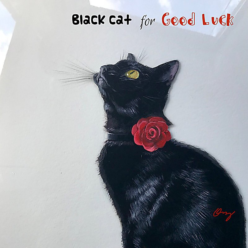 Is Owning A Black Cat Good Luck